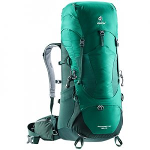 Deuter Aircontact Lite 50 + 10 alpinegreen-forest