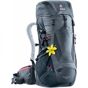 Deuter Futura Pro 34 SL graphite-black