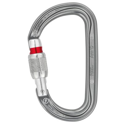 Petzl Am'D Screw-Lock Carabiner (2016) gray