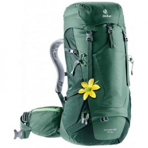 Deuter Futura Pro 34 SL seagreen-forest