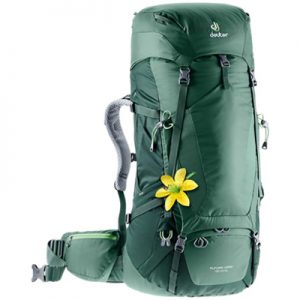 Deuter Futura Vario 45 + 10 SL seagreen-forest