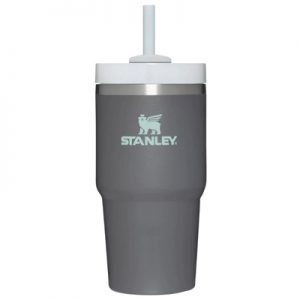 Stanley Adventure Quencher 2.0 Tumbler 20oz charcoal