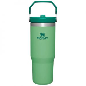 Stanley Adventure Classic Iceflow Flip Straw Tumbler 30oz jade