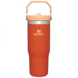 Stanley Adventure Classic Iceflow Flip Straw Tumbler 30oz tigerlily