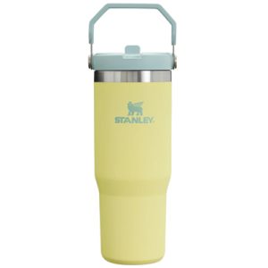 Stanley Adventure Classic Iceflow Flip Straw Tumbler 30oz pomelo